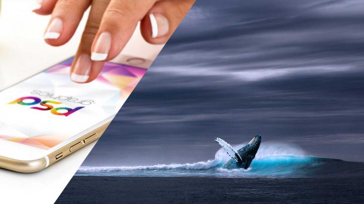 Les meilleurs sites pour télécharger des images libres de droits et gratuites
