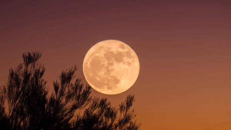 Activer le mode nuit sur Windows 10, Mac OS et Linux